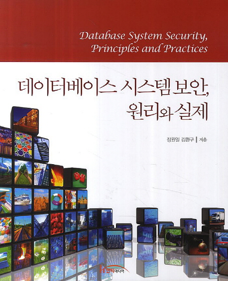 데이터베이스 시스템보안 원리와 실제 = Database system securityprinciples andpractices