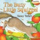 (The)busy little squirrel