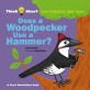 Does a woodpecker use a hammer? :how everyone uses tools 
