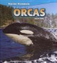 Orcas (Library Binding)