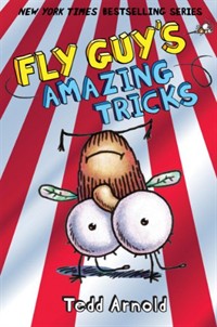 Fly Guy's amazing tricks