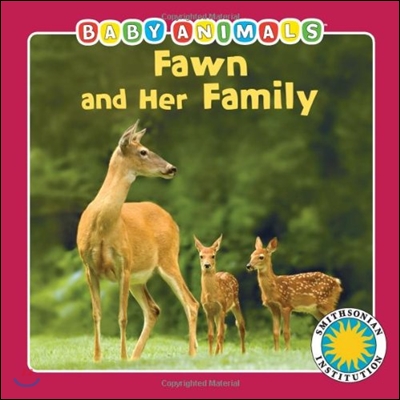 (Baby animals)Fawn and her family