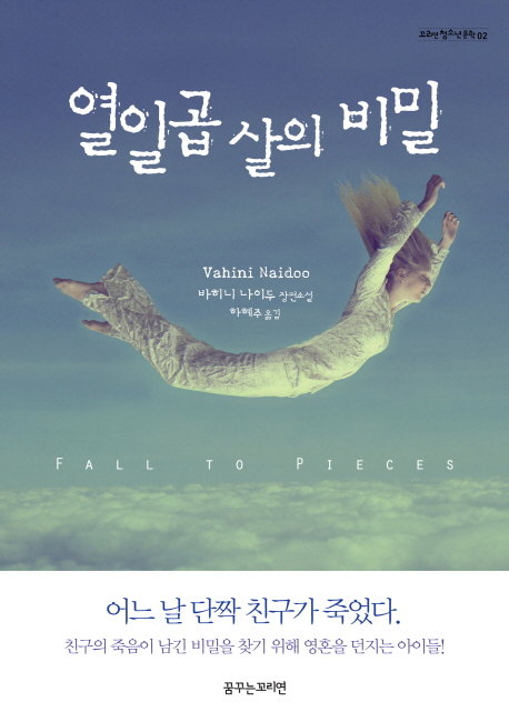 열일곱살의비밀:바히니나이두장편소설