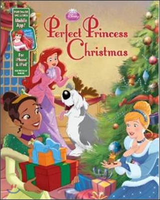 Perfect princess Christmas 표지 이미지