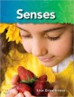 Senses (the Human Body) (Paperback)