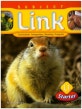 Subject Link L 1 (Curriculum Integration Reading Program,Starter)
