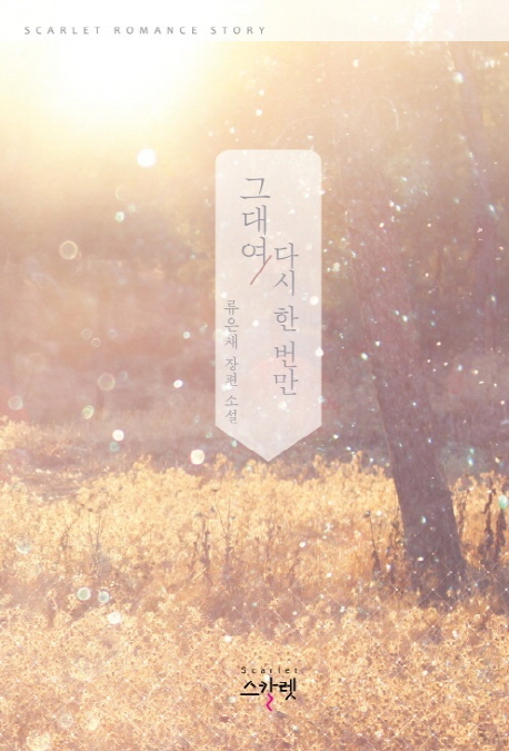 그대여 다시 한 번만 :류은채 장편 소설 