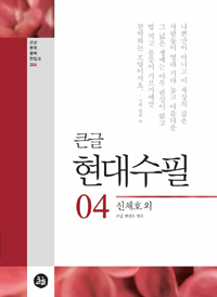 (큰글) 현대수필. 04, 신채호 외 표지이미지