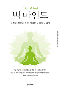 빅 마인드 : 초간단 견성법, 이미 깨달은 나와 하나되기 