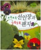 뾰족뾰족 선인장과 알록달록 팬지 (식물,속씨식물). 53
