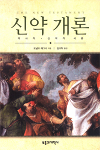 신약 개론 : 역사적·신학적 서론