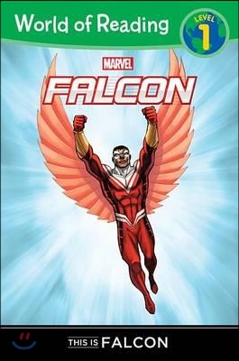 Falcon : This is Falcon