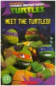 Teenage Mutant Ninja Turtles: Meet the Turtles!