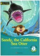 Sandy, the California Sea Otter
