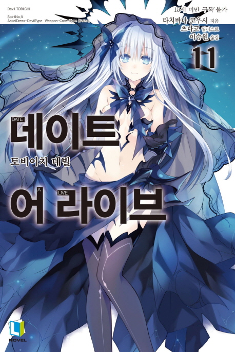 데이트 어 라이브 11 (L Novel)