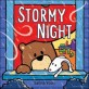Stormy night 
