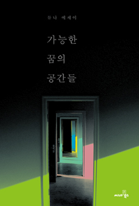 가능한 꿈의 공간들 (듀나 에세이)