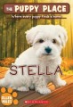 Stella 36 (Stella)