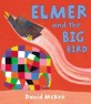 Elmer and the Big Bird (Paperback)
