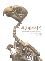 과일앵무새 이미지