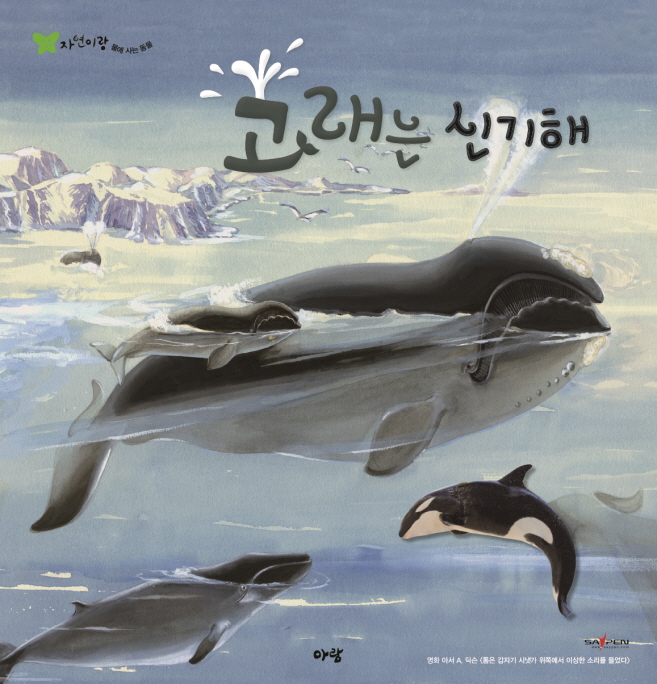 고래는 신기해 (자연이랑 자연관찰 29 고래 - 물에 사는 동물)