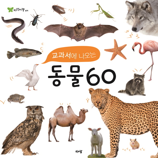 교과서에 나오는 동물 60 (자연이랑 자연관찰 79 동물도감)