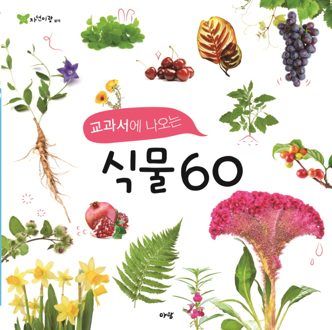교과서에 나오는 식물 60 (자연이랑 자연관찰 80 식물도감)