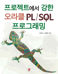 프로젝트에서 강한 오라클 PL/SQL 프로그래밍