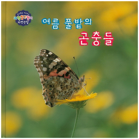 나폴레옹