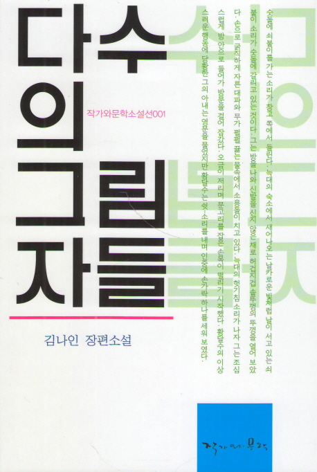 다수의그림자들:김나인장편소설