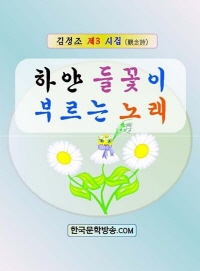 하얀 들꽃이 부르는 노래 - [전자책]  : 김정조 제3 시집(觀念詩)