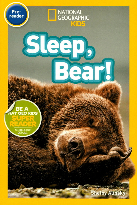 Sleep, bear!