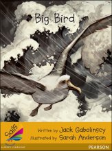 Big Bird. [8-5]