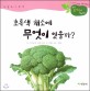 초록색 채소에 무엇이 있을까? : 세밀화그림책