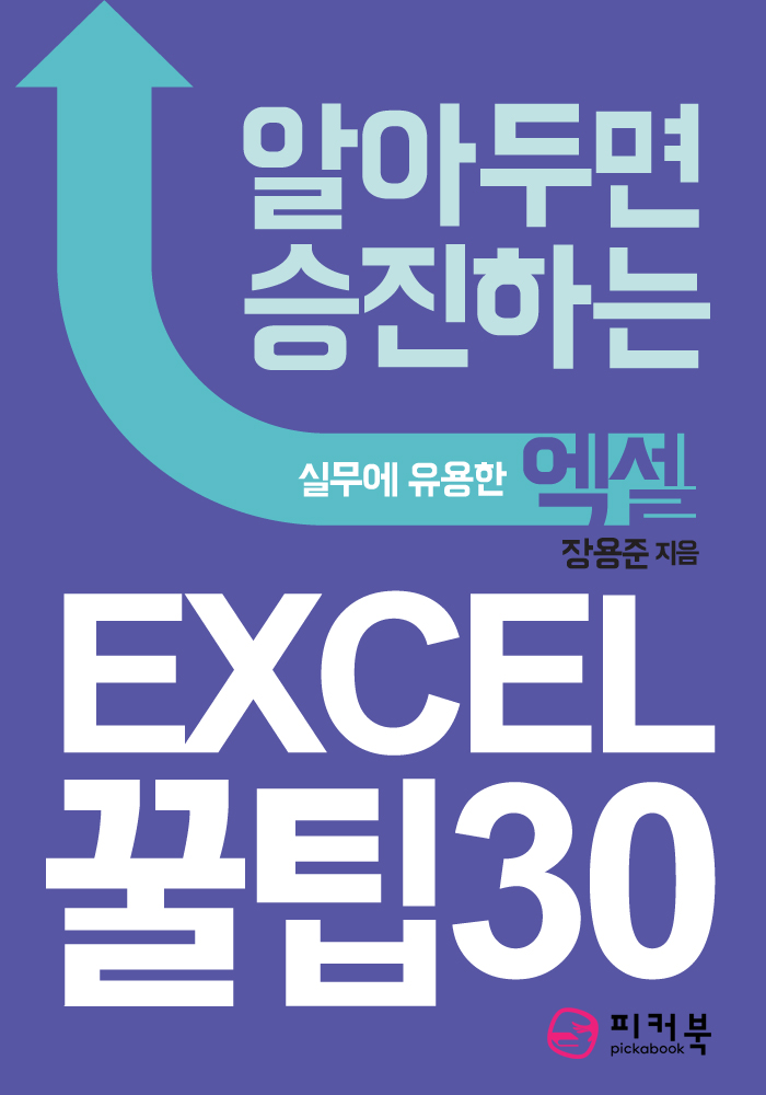 알아두면 승진하는 엑셀 꿀팁 30 - [전자책]  : 실무에 유용한 엑셀
