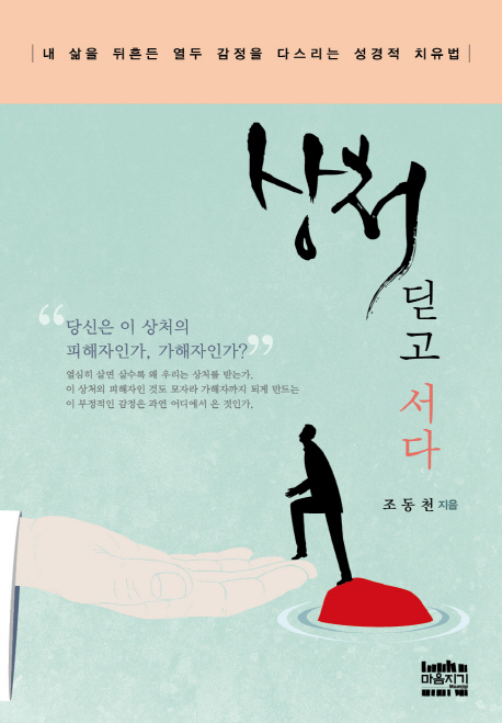 상처 딛고 서다  : 내 삶을 뒤흔든 열두 감정을 다스리는 성경적 치유법