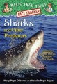 Sharks and other predators : shadow of the shark