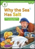 Why the sea has salt