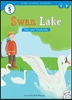 Swan lake