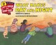 What Makes Day and Night (Paperback)