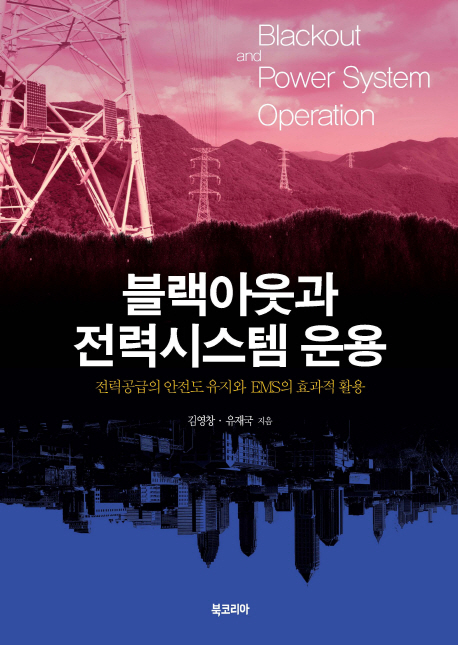 블랙아웃과 전력시스템 운용  = Blackout and power system operation  : 전력공급의 안전도 유지와 EMS의 효과적 활용