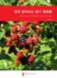 쉽게 알아보는 딸기 병해충 = Compendium of strawberry diseases and pests