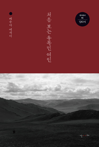 처음 보는 유목민 여인  : 배수아 에세이