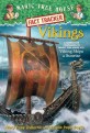 Vikings : viking ships at sunrise