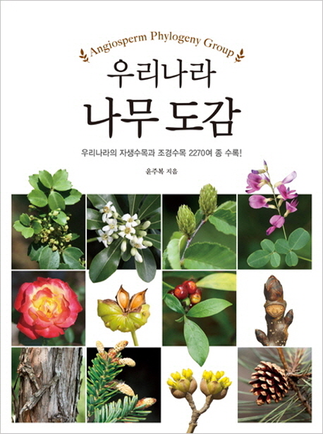 우리나라 나무 도감 = Angiosperm phylogeny group