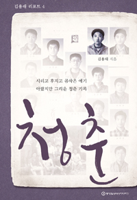 청춘 : 시리고 후지고 곰삭은 얘기 아팠지만 그리운 청춘 기록