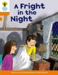 Oxford Reading Tree: Level 6: More Stories A: a Fright in the Night (Paperback)