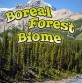 Seasons of the Boreal Forest Biome (Paperback)