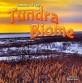 Seasons of the Tundra Biome (Paperback)