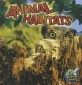 Animal Habitats (Paperback)